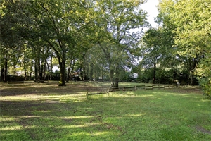 terrain de loisirs à la vente -   17132  MESCHERS SUR GIRONDE, surface 6000 m2 vente terrain de loisirs - UBI440300111